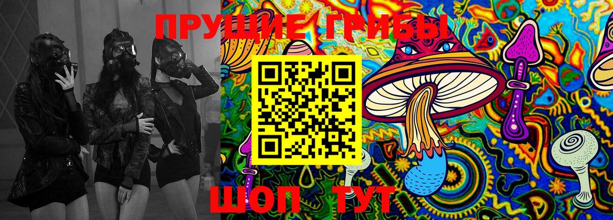 Галлюциногенные грибы Psilocybe  Вход с VPN  Карачаевск 