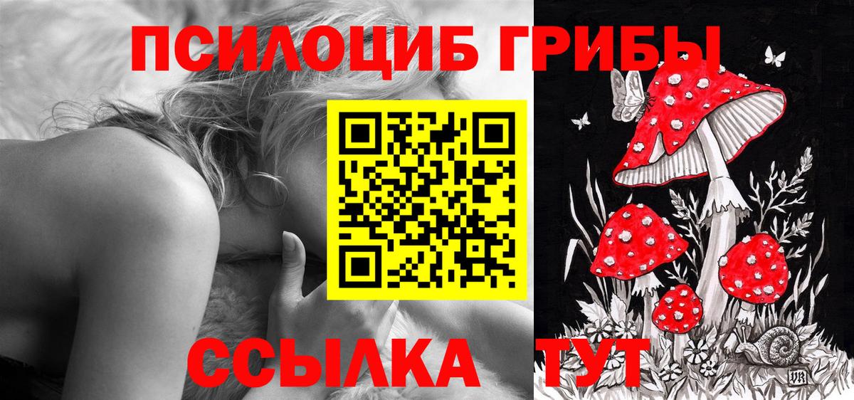 Галлюциногенные грибы MAGIC MUSHROOMS Карачаевск